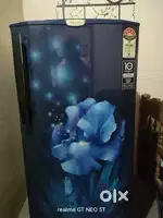 Fridge single door