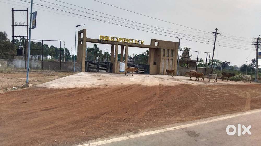 New plots at Amleshwar Magarghata opp. Multisports City