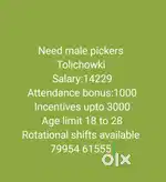 Wanted male (picker&loader) Tolichowki