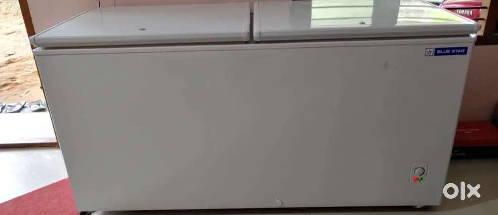 Deep fridge blue star 500 liter