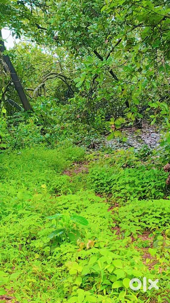 NA PLOT FOR SALE, DADAMARG, AREA 500SQ MTS, PRICE@₹5500/SQ MTS