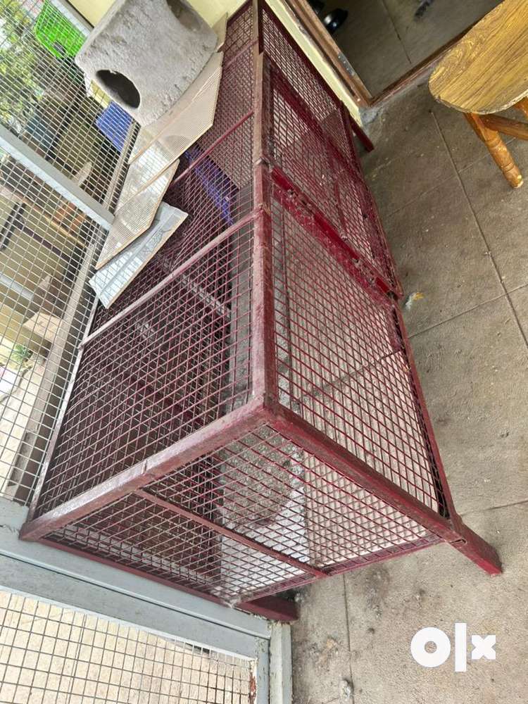Dog cage for medium size dogs