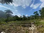 Great investment TRIBAL LAND in BUNGKULUNG above DUDHIA.