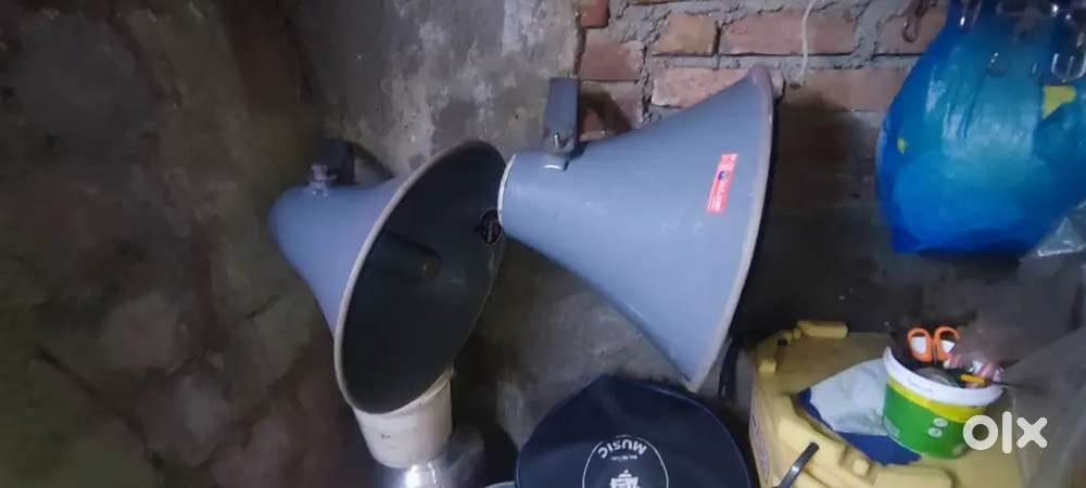 Horn bhonga