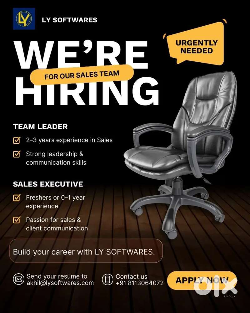 Customer service executive