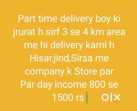 Part time Store Delivery boy job  Hisar,Sirsa,Jind Time apni marji ka