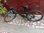 Alpha bike cycle