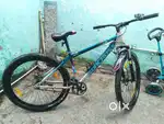 Sun Cross Sports Cycle