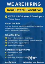 Real Estate Executive