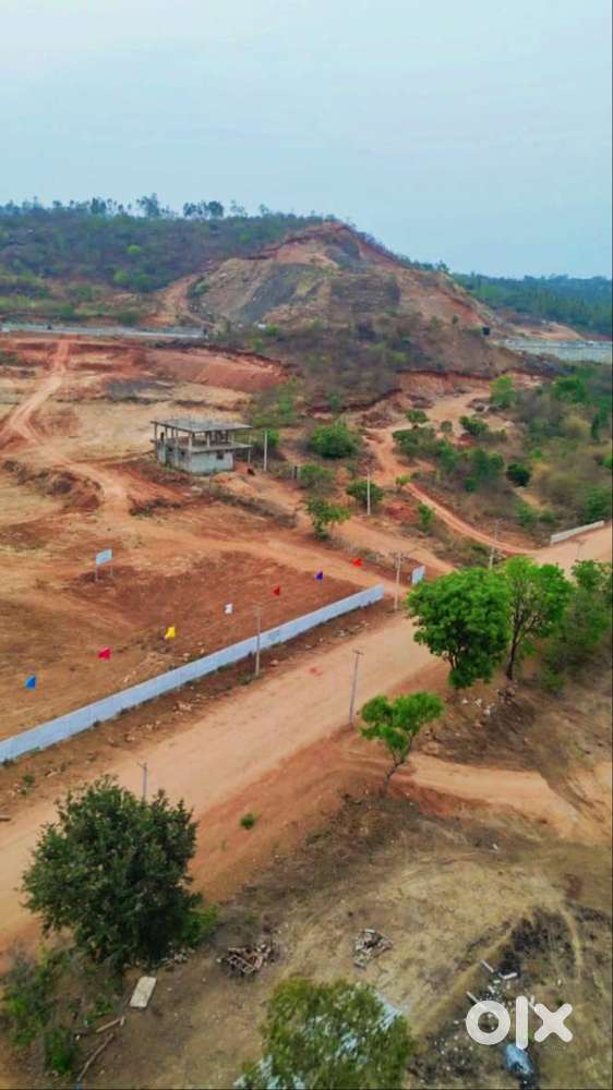 INVESTMENT OPPERTUNITY