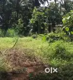 മയ്യിൽ 13.5 സെന്റ് സ്ഥലം വില്പനയ്ക്ക്,