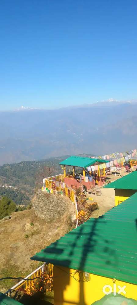 All Rounder Chef Chahiye