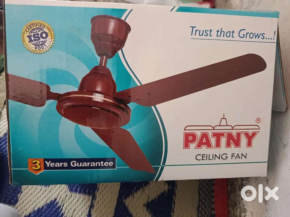 Patny ceiling fan