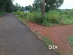 പാളയത്തു വളപ്പിൽ 17 സെന്റ് സ്ഥലം വില്പനയ്ക്ക്