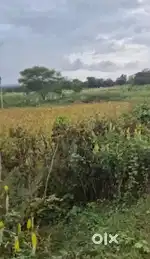 Ramanagara, near Kanva Dam backwater - 5.04 acres farm land