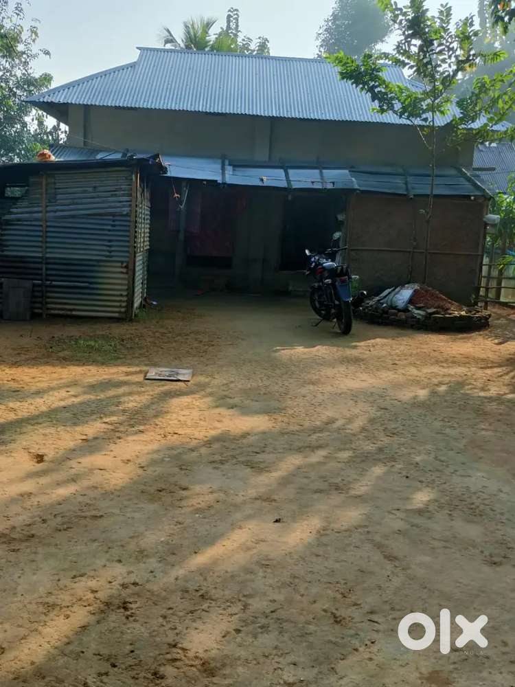 বারি সহ জাগা ৩ গন্ডা