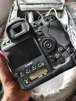 1dx mark ii
