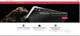 Senior Web Designer