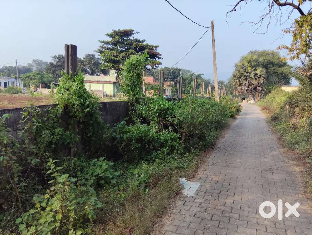 Bihar sarkar jameen hai kagaj Patra ke sath mein