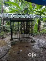 Dog Cage for sale