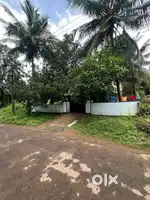 9.5 സെന്റ് + 4BHK വീട് – മെഡിക്കൽ കോളേജ് ഹൗസിംഗ് കോളനി