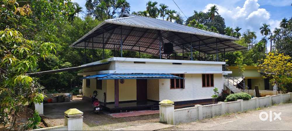 For sale :1300 sq. ft, 9.5 cent, sale at Arakuzha