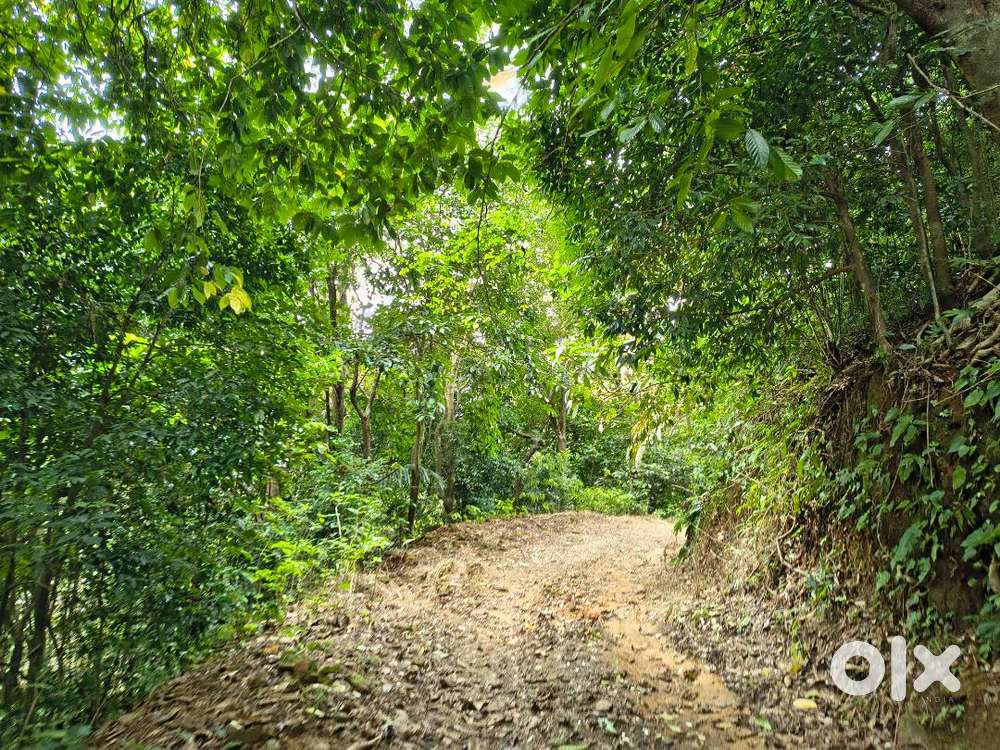 Property for sale near Panchalimedu tourist destination Idukki