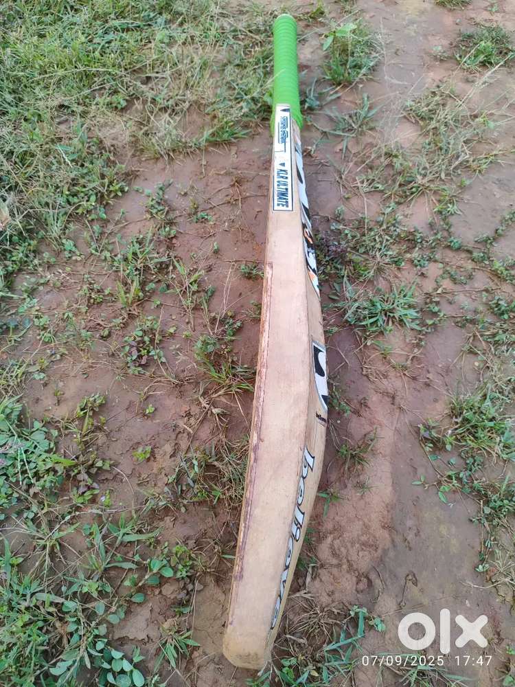 SG Cricket English Willow Bat