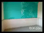2 bhk house for rent