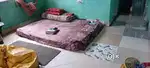 Need a  female room mate