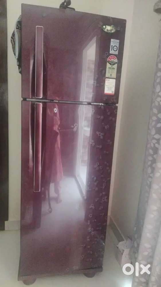 Double door Lg fridge