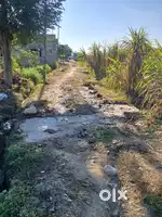 selling  land   pone 3 bigha  fertilizer  land