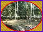 6 cents House plot in Prime Location in near Palakkada, Puthiyangadi