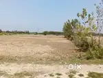 12 bhiga jameen