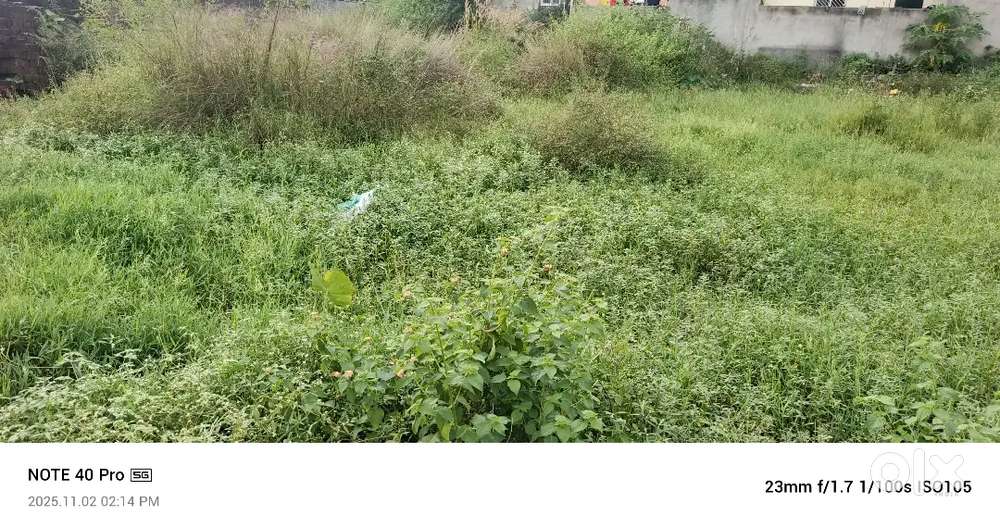 3.5 dismil plot on bariyatu