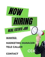 Real Estate