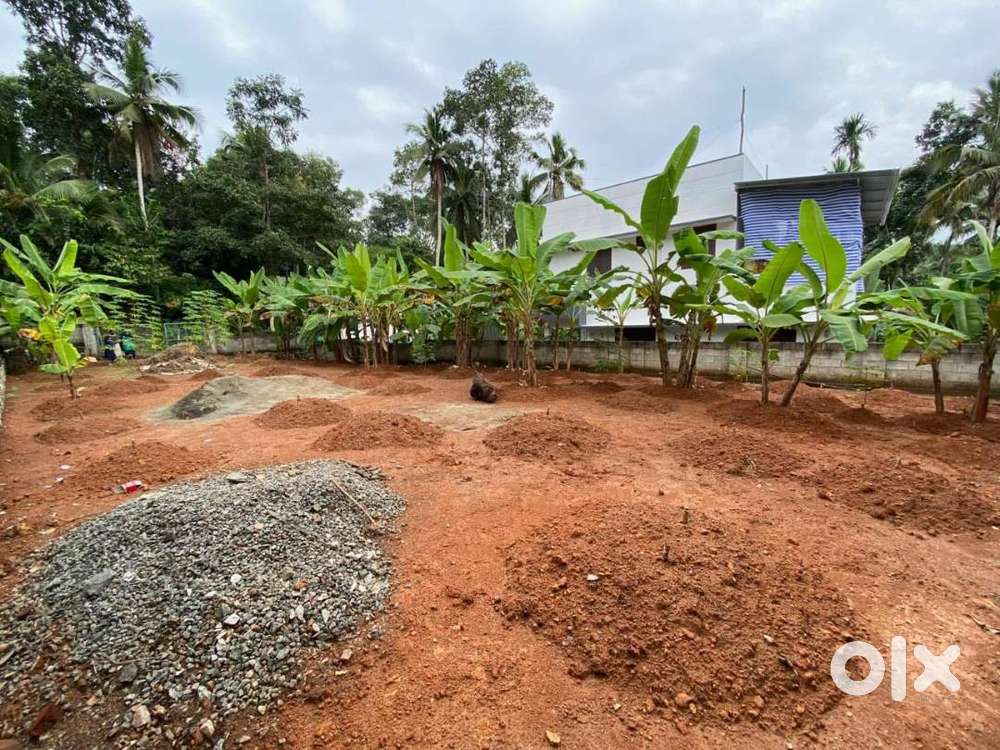 10 cent plot for sale!!!