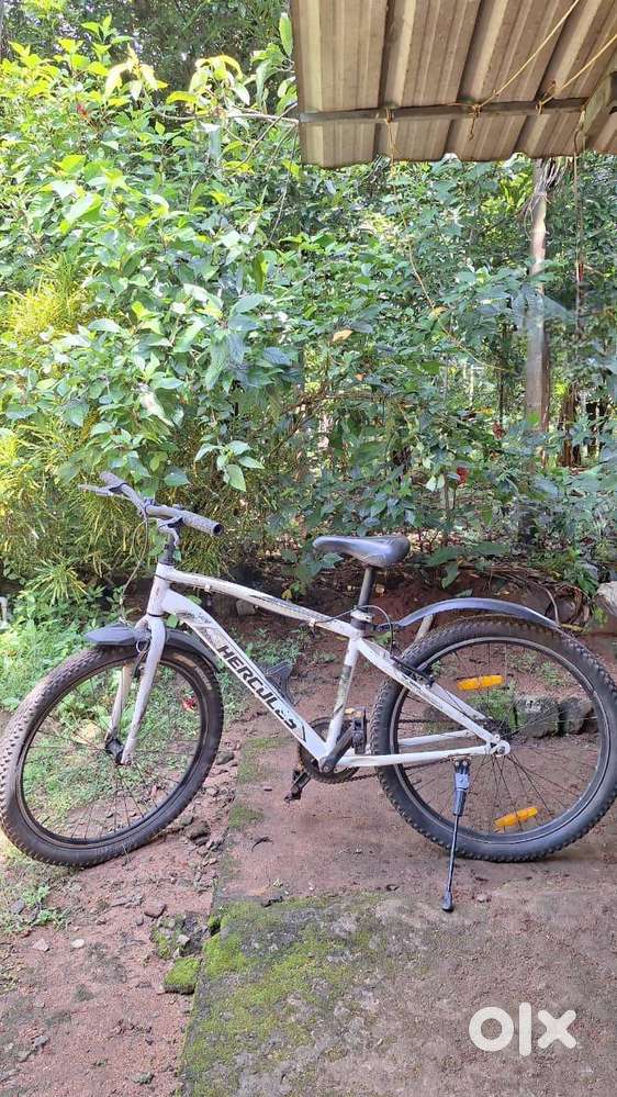 Well-Maintained Hercules Bicycle for Sale