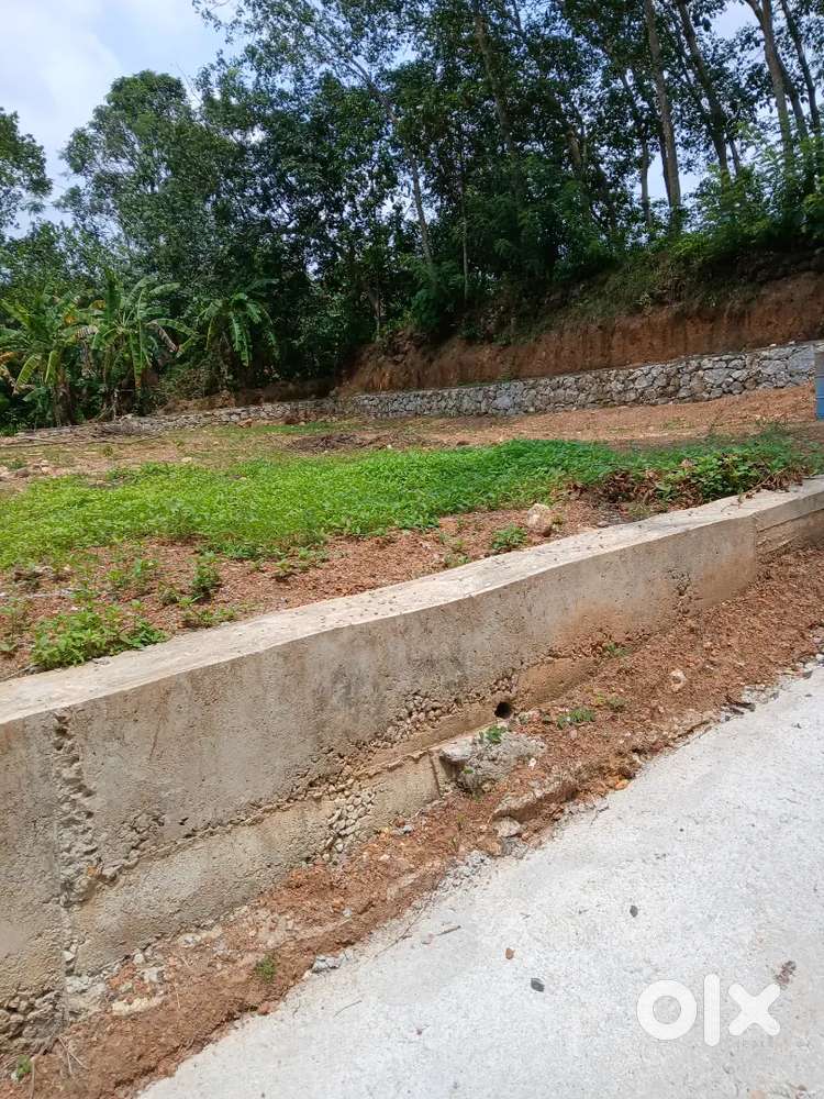 Plot for Sale Near Nedumangad Town