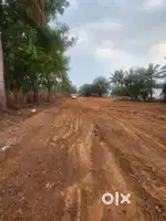 PLOTS FOR SALE AT TIMSAGAR ROAD