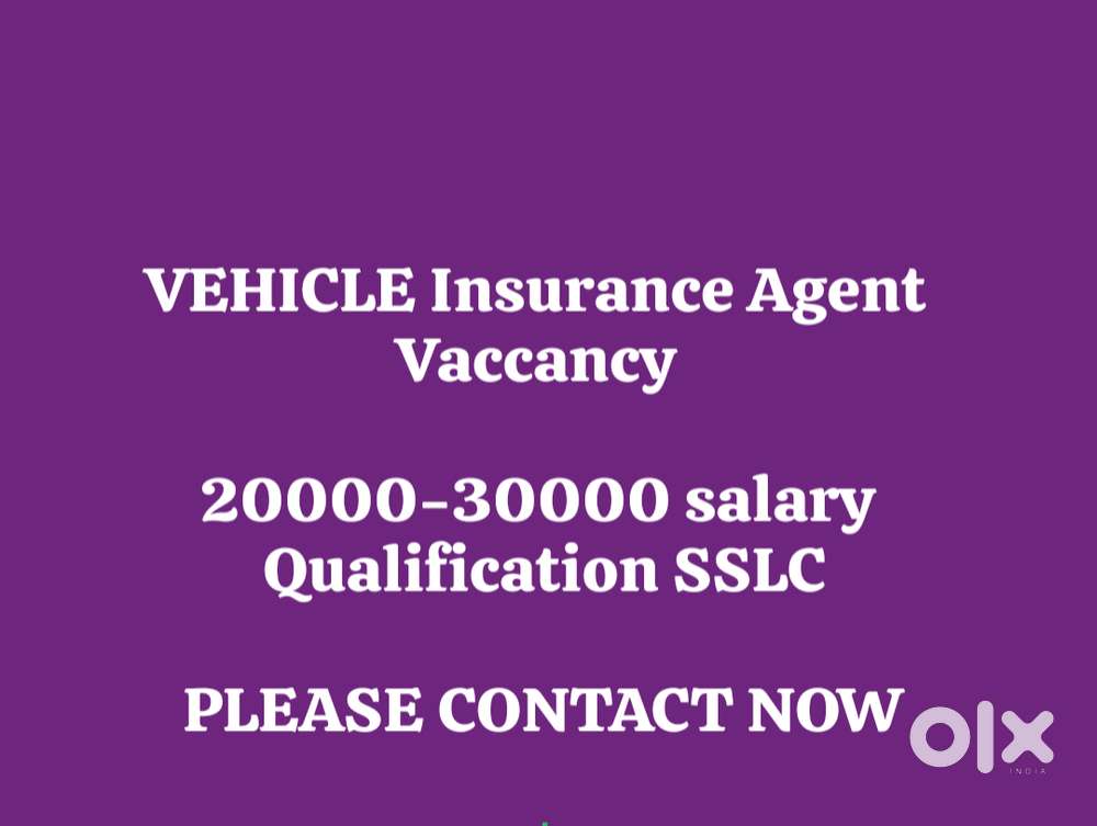 Vehicle insurance agent