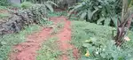 Plain land near Kondotty, Malappuram