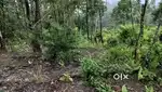 Land for sale at Tsiesema Basa