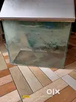 Fish  tank only @450