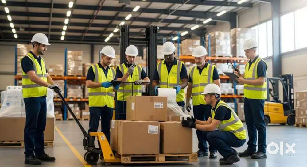 90+ Job Opportunity in Warehouse company