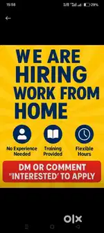 Online business opportunity