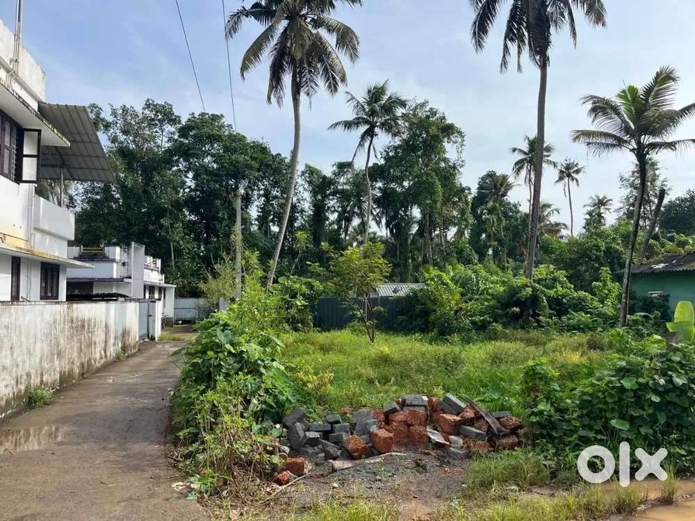 Tar Road front 7.50 Land Near Cherthala Town for Sale 3.00 per Cent