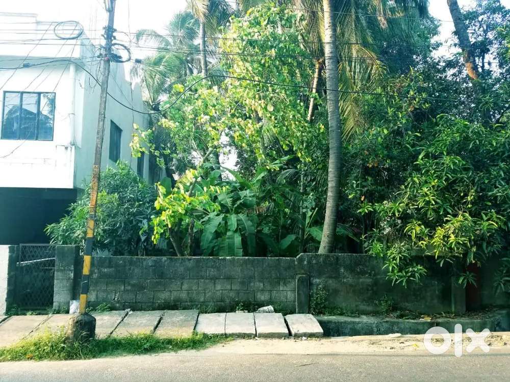 5.90 plot for sale at palakkad robinson road