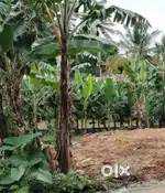 Plot needed in eroor