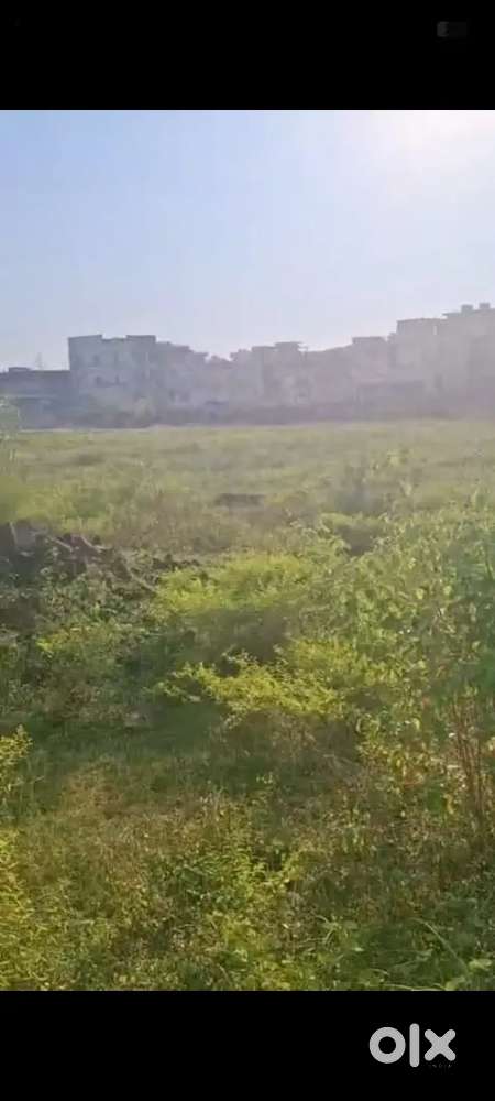 Best Plot For Pg Purpose